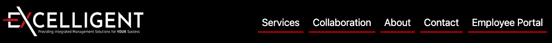 Excelligent LLC